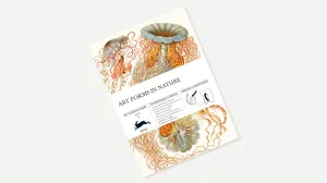 Art Forms In Nature | Gift and Creative Papers