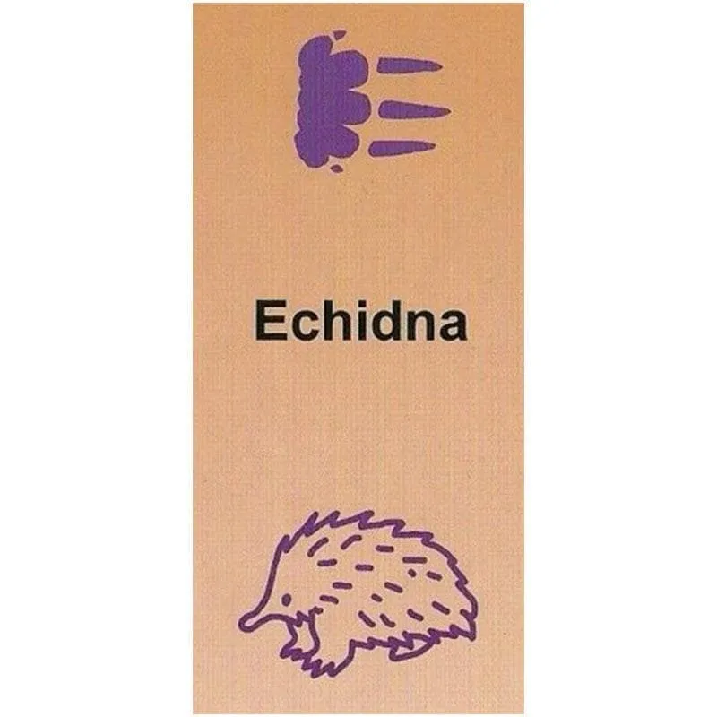 Australian Animal Stampers