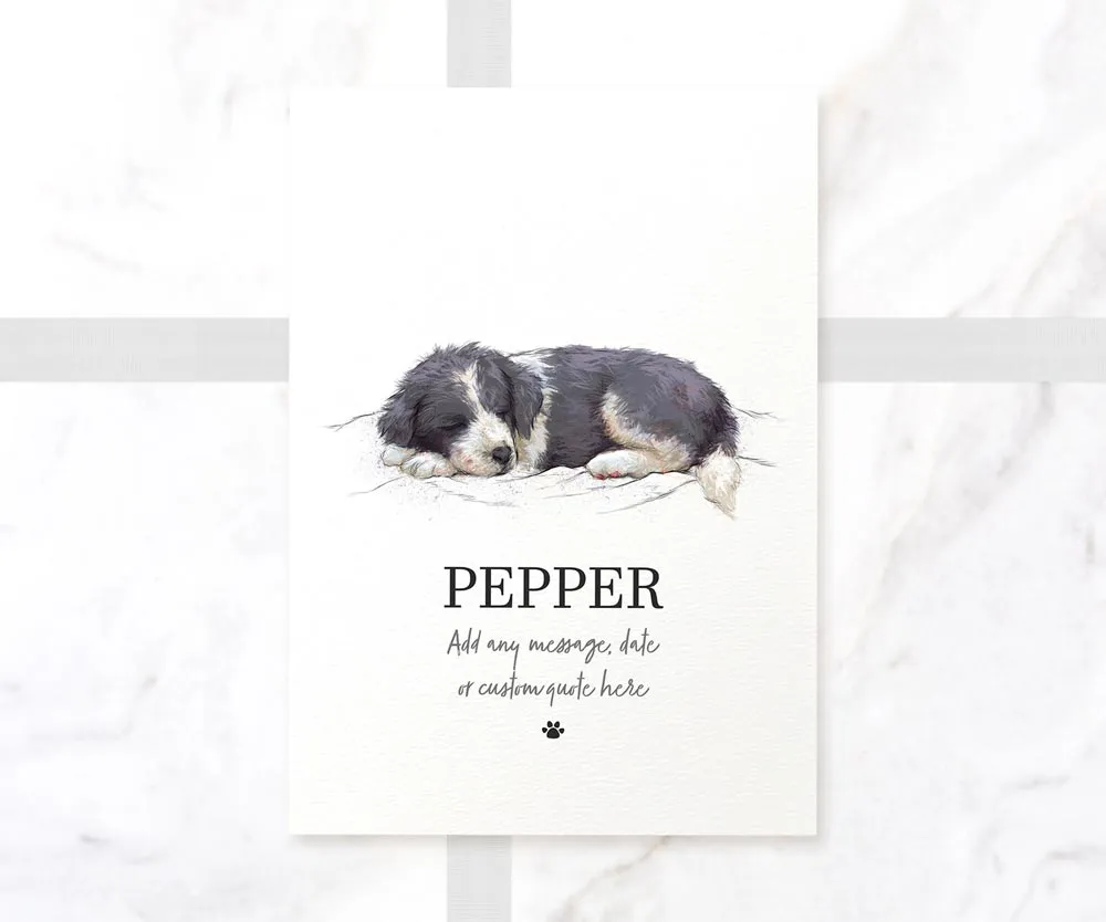 Black & White Border Collie Personalised Print