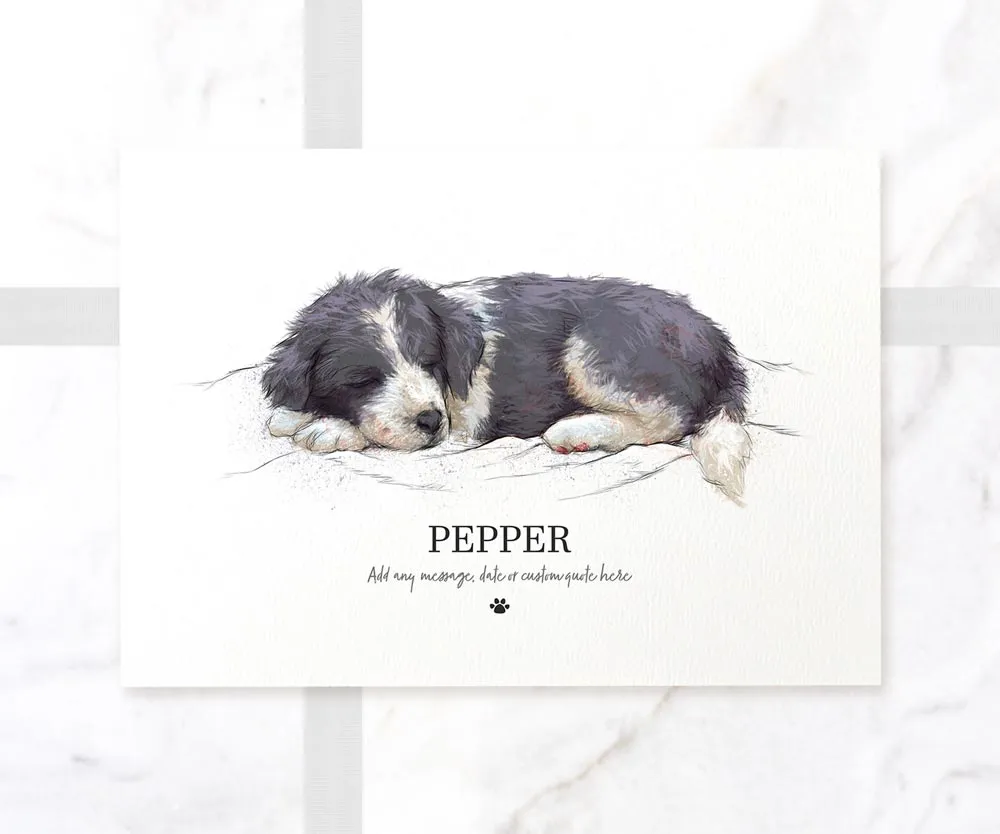 Black & White Border Collie Personalised Print
