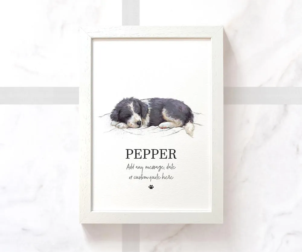 Black & White Border Collie Personalised Print