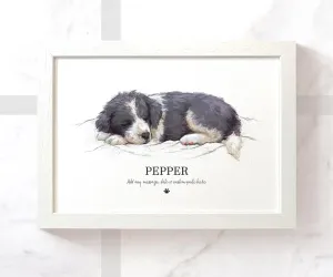 Black & White Border Collie Personalised Print