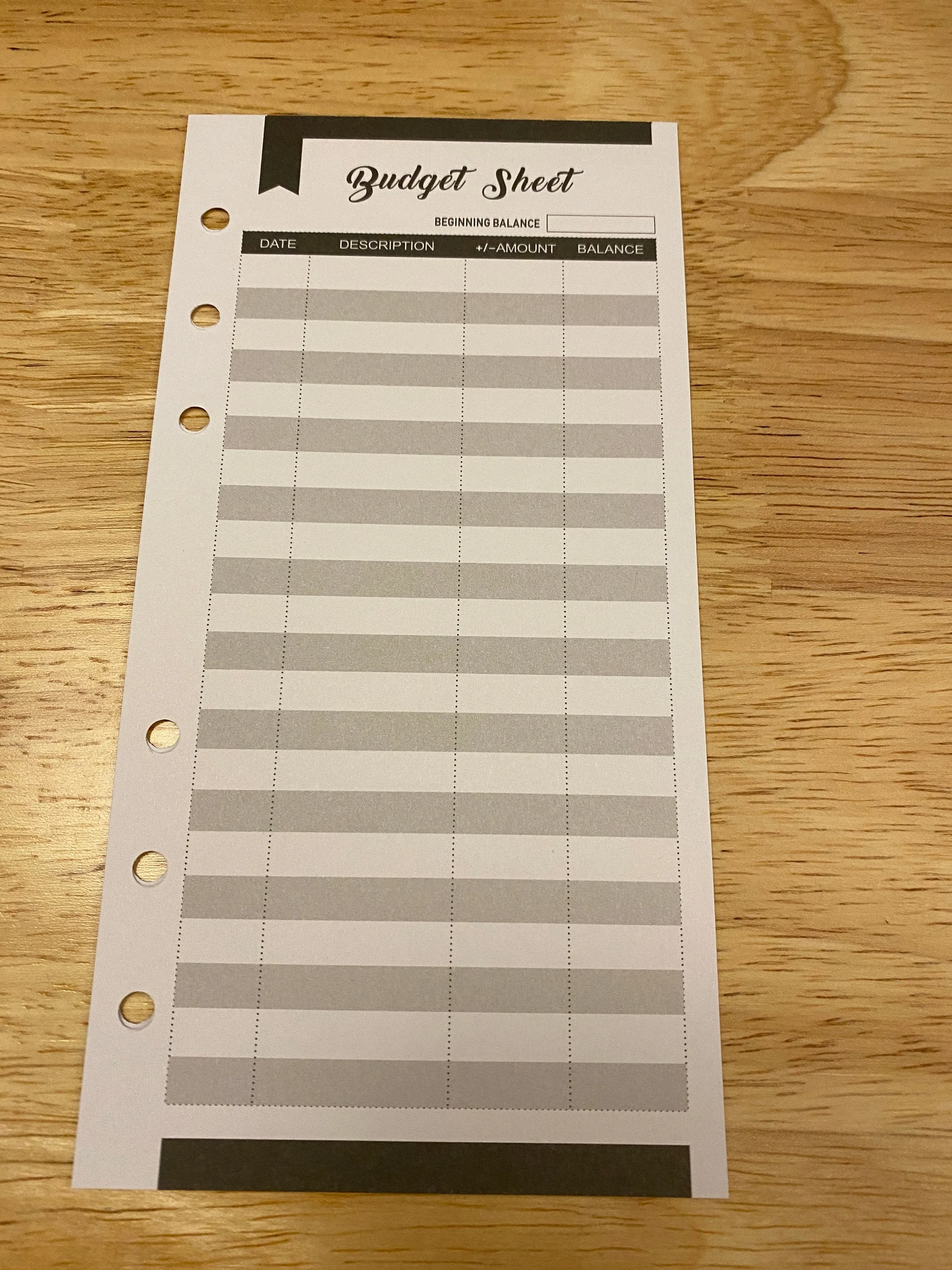 Cash Budgeting Sheets, Budget Insert Trackers for A6 Binders