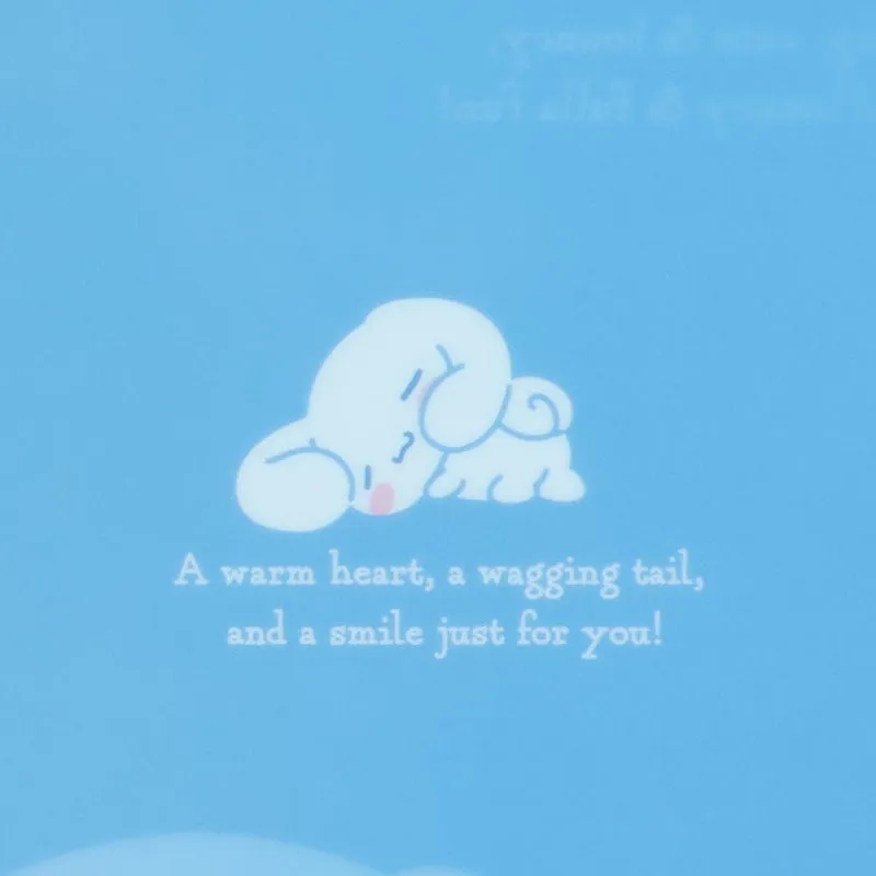 Cinnamoroll Expressions 3-pc Clear File Folder Set