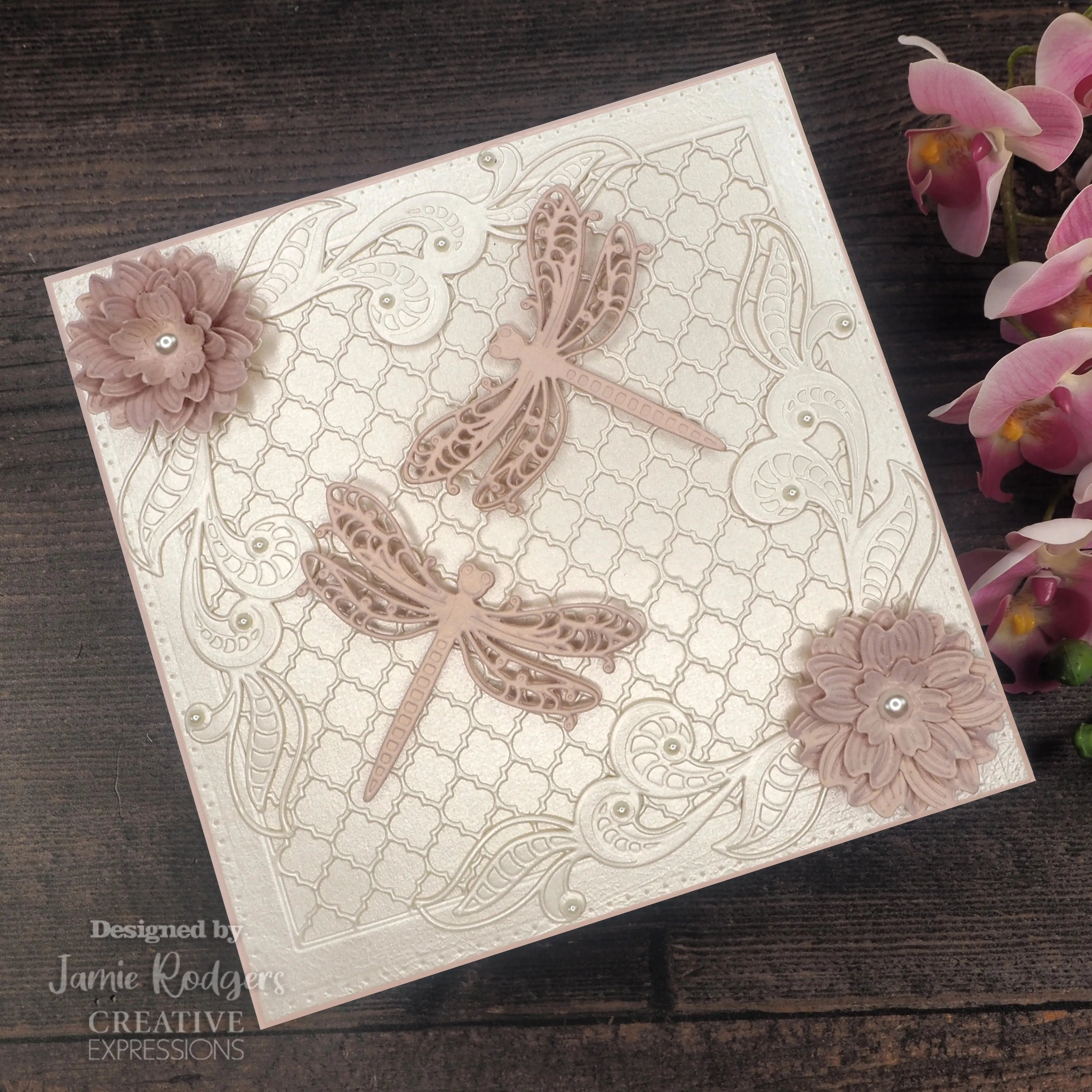 Creative Expressions Jamie Rodgers Grand Dragonfly Craft Die