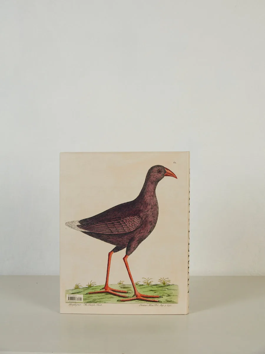 John Derian Picture Book II