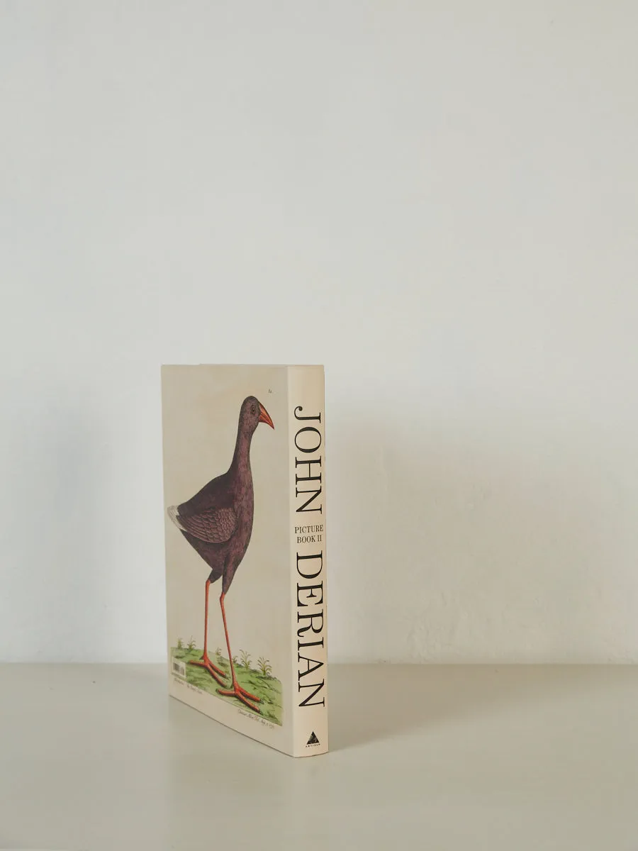 John Derian Picture Book II
