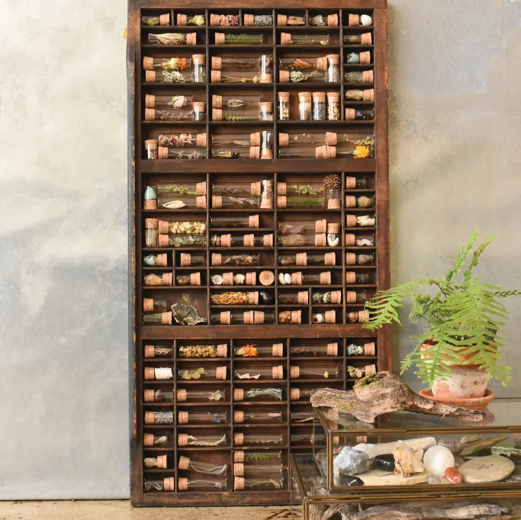 June & December Large Specimen Bottles with Cork, Set of 10