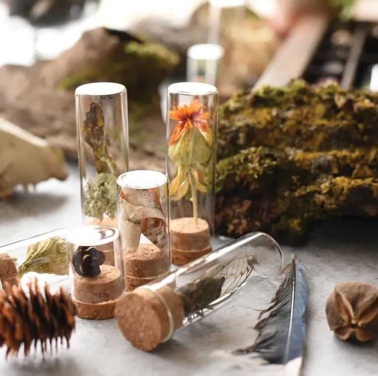 June & December Large Specimen Bottles with Cork, Set of 10