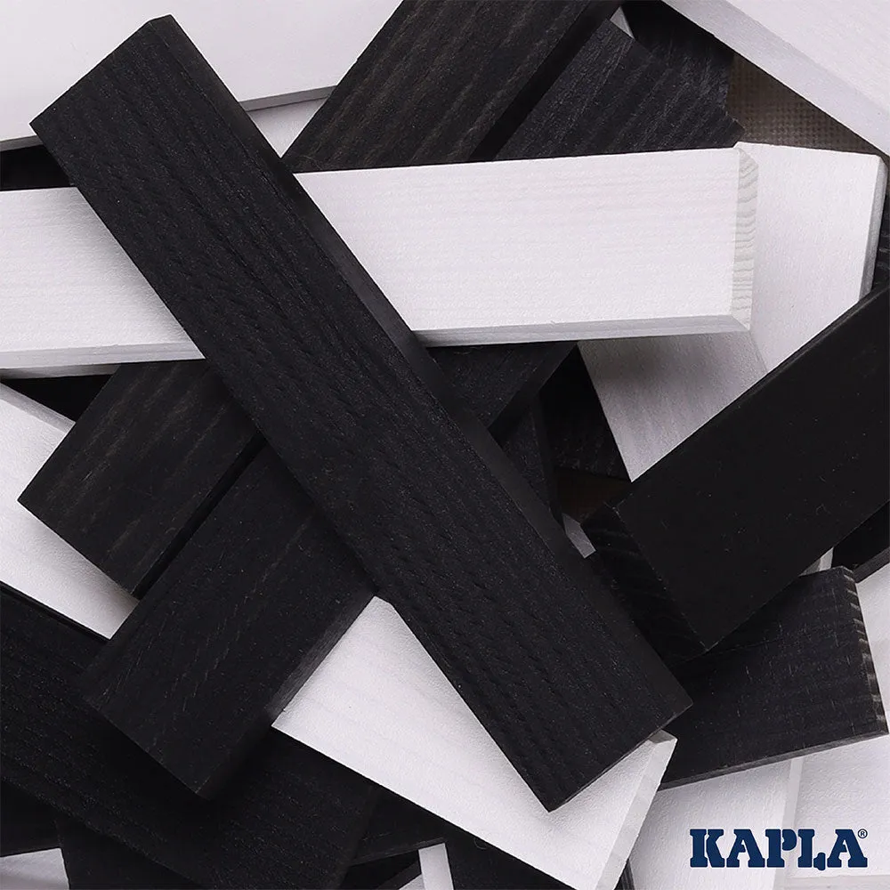 KAPLA Black and White 100 Case