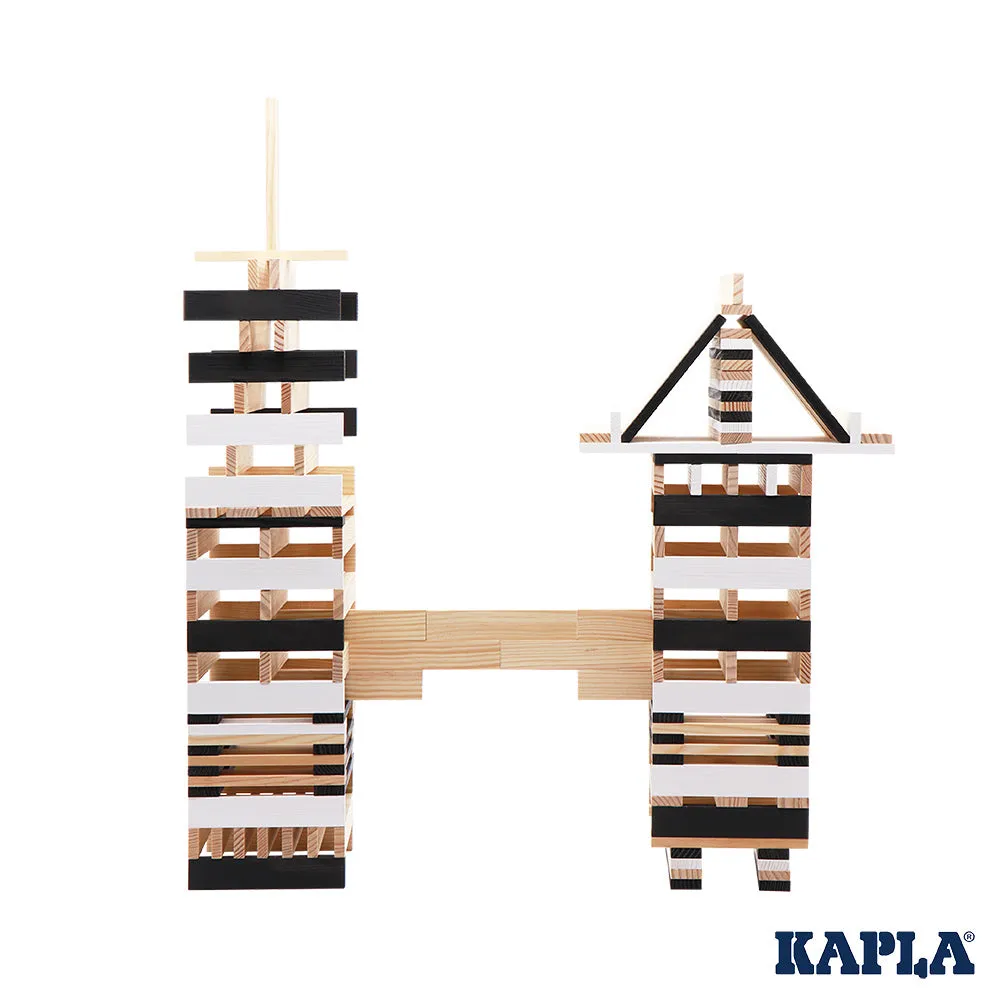 KAPLA Black and White 100 Case