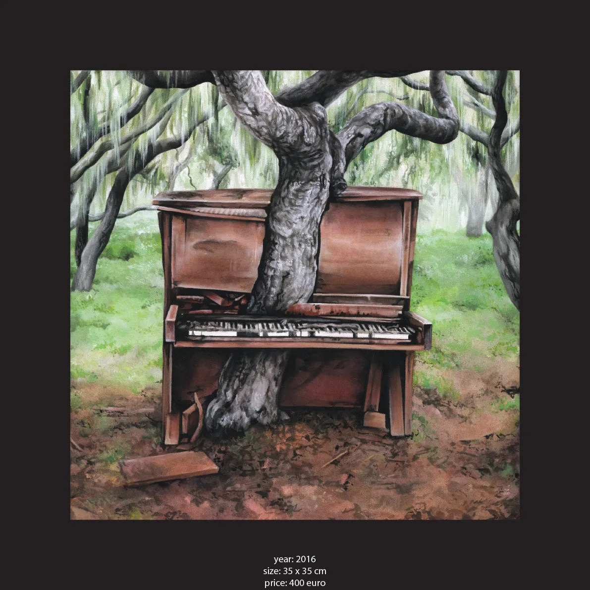 Moki Original Art & Prints