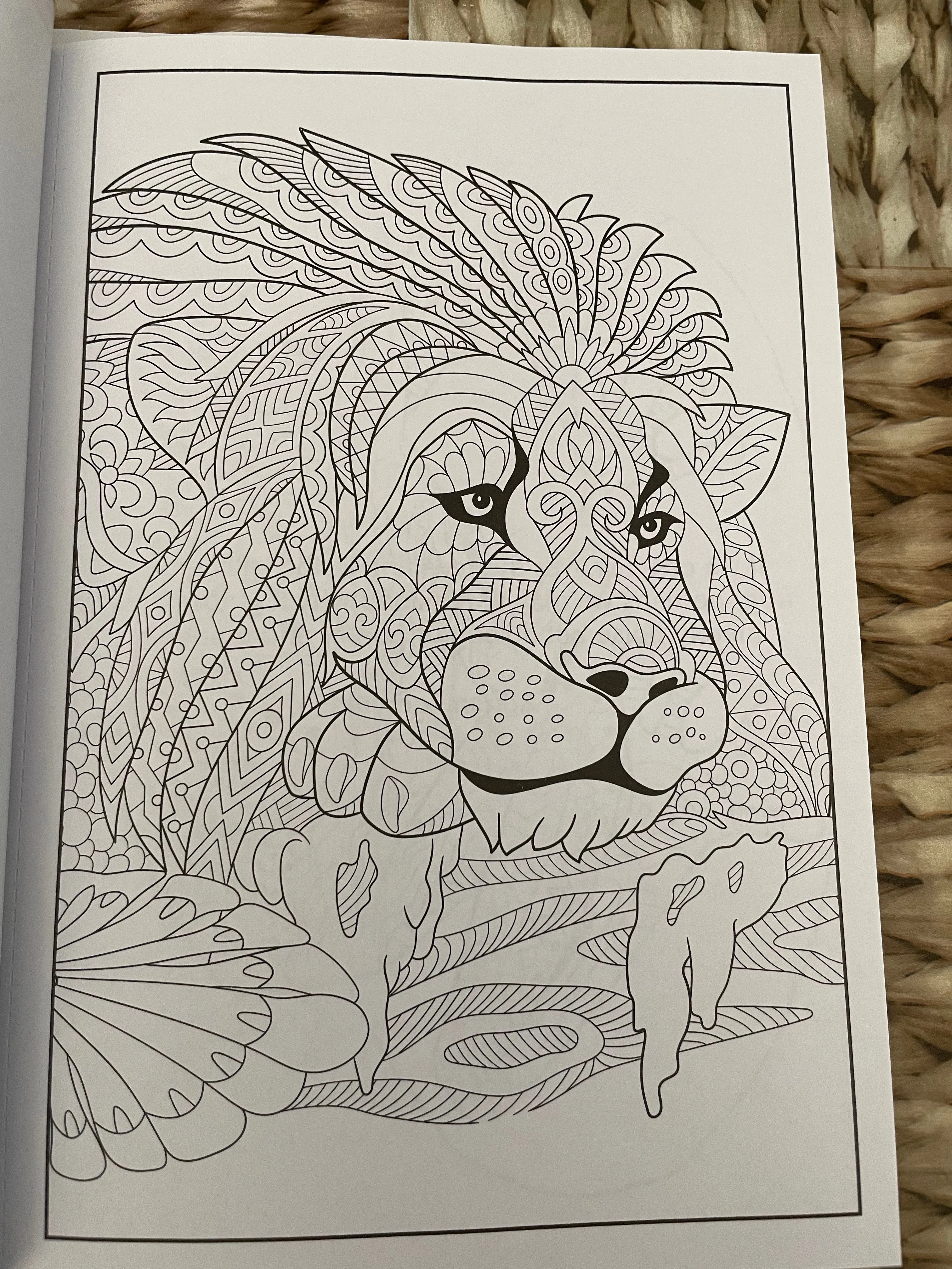 NEW LIVING COLORS Adult/Teens Coloring Book Volume 27 Creative Expression 2022