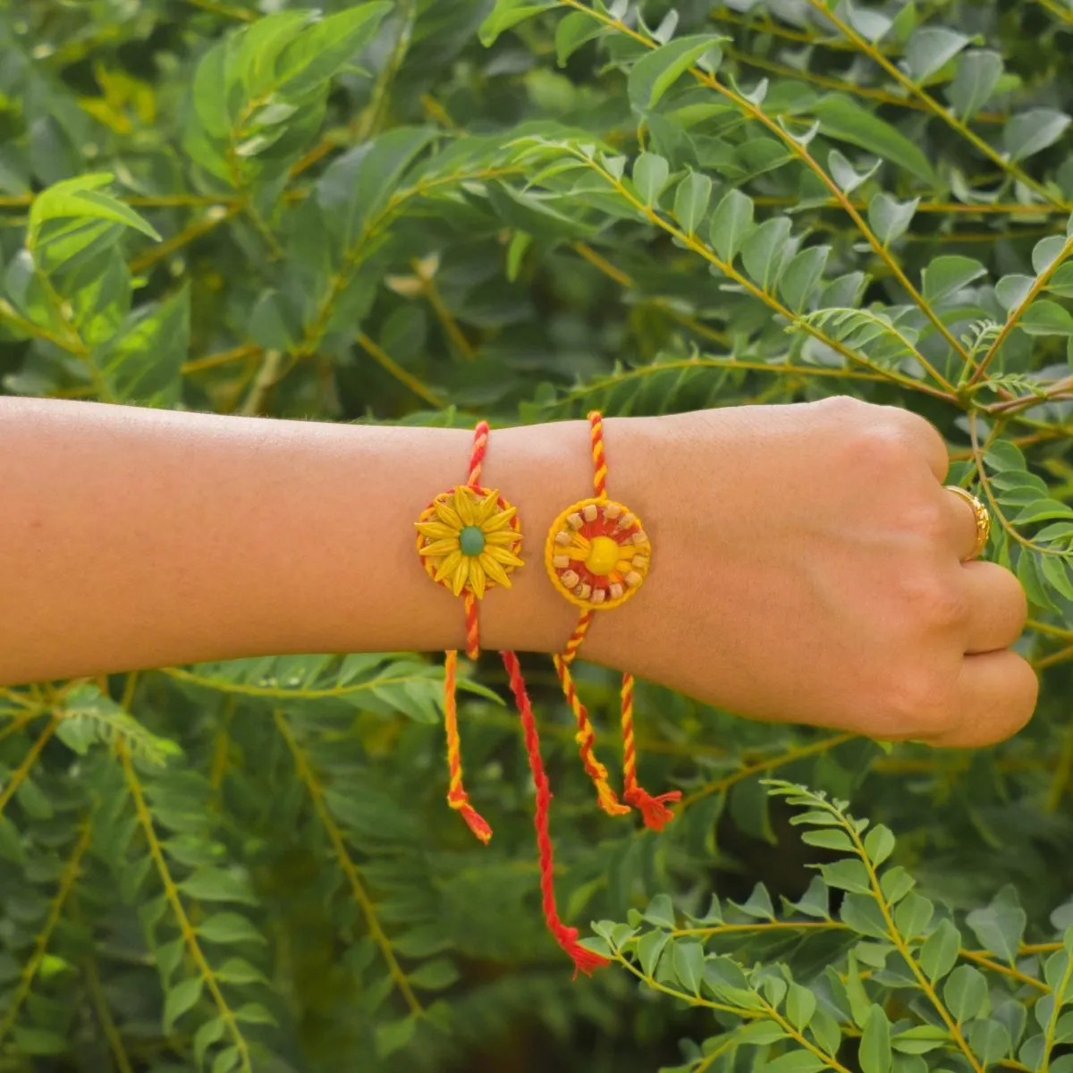 Plantable Seed Rakhi Family Box | Pair of 2 Rakhi