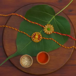 Plantable Seed Rakhi Family Box | Pair of 2 Rakhi