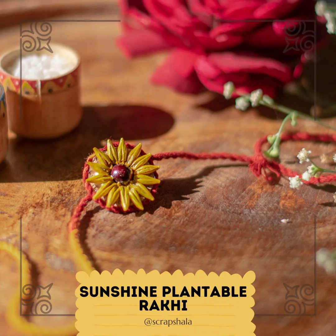 Plantable Seed Rakhi Family Box | Pair of 2 Rakhi