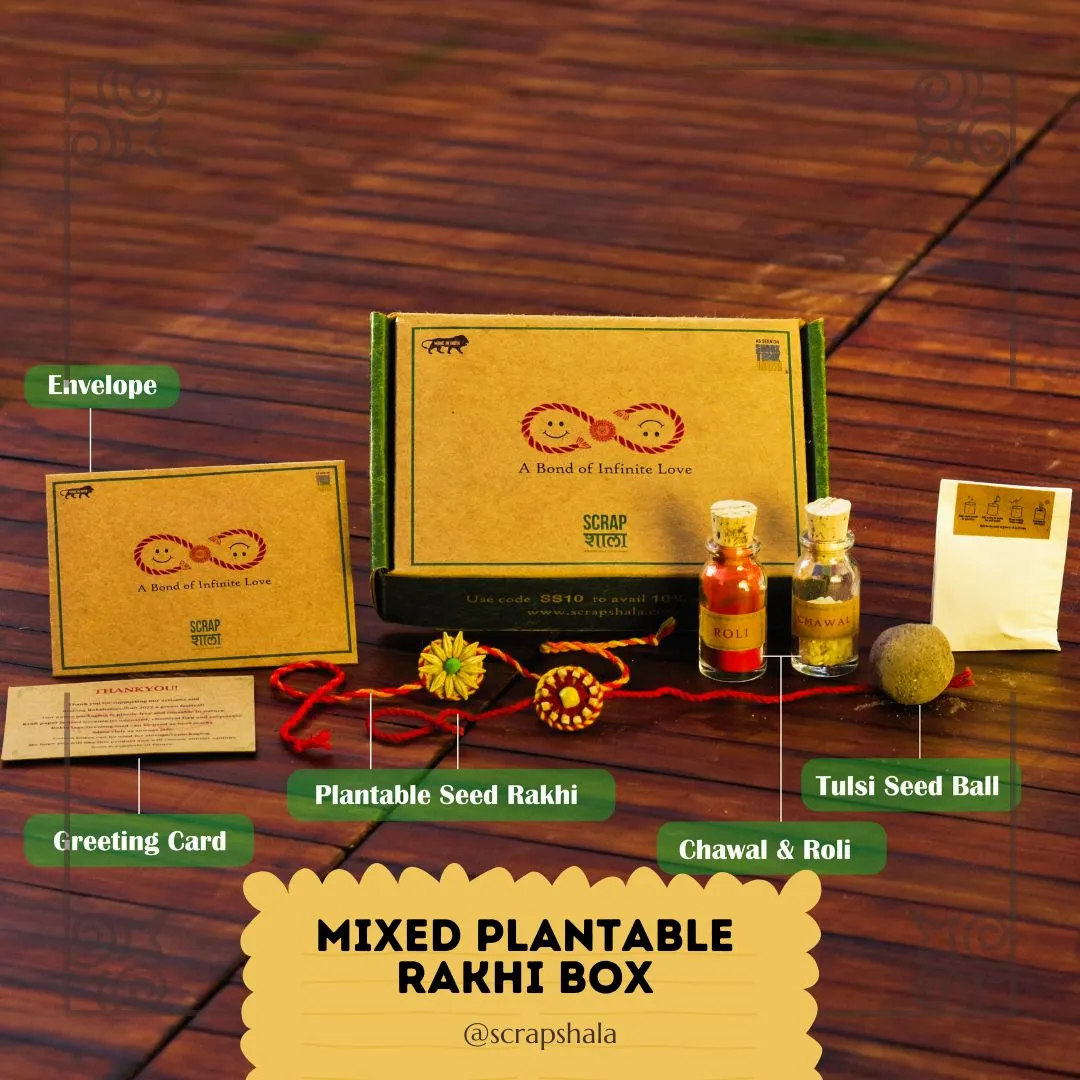 Plantable Seed Rakhi Family Box | Pair of 2 Rakhi