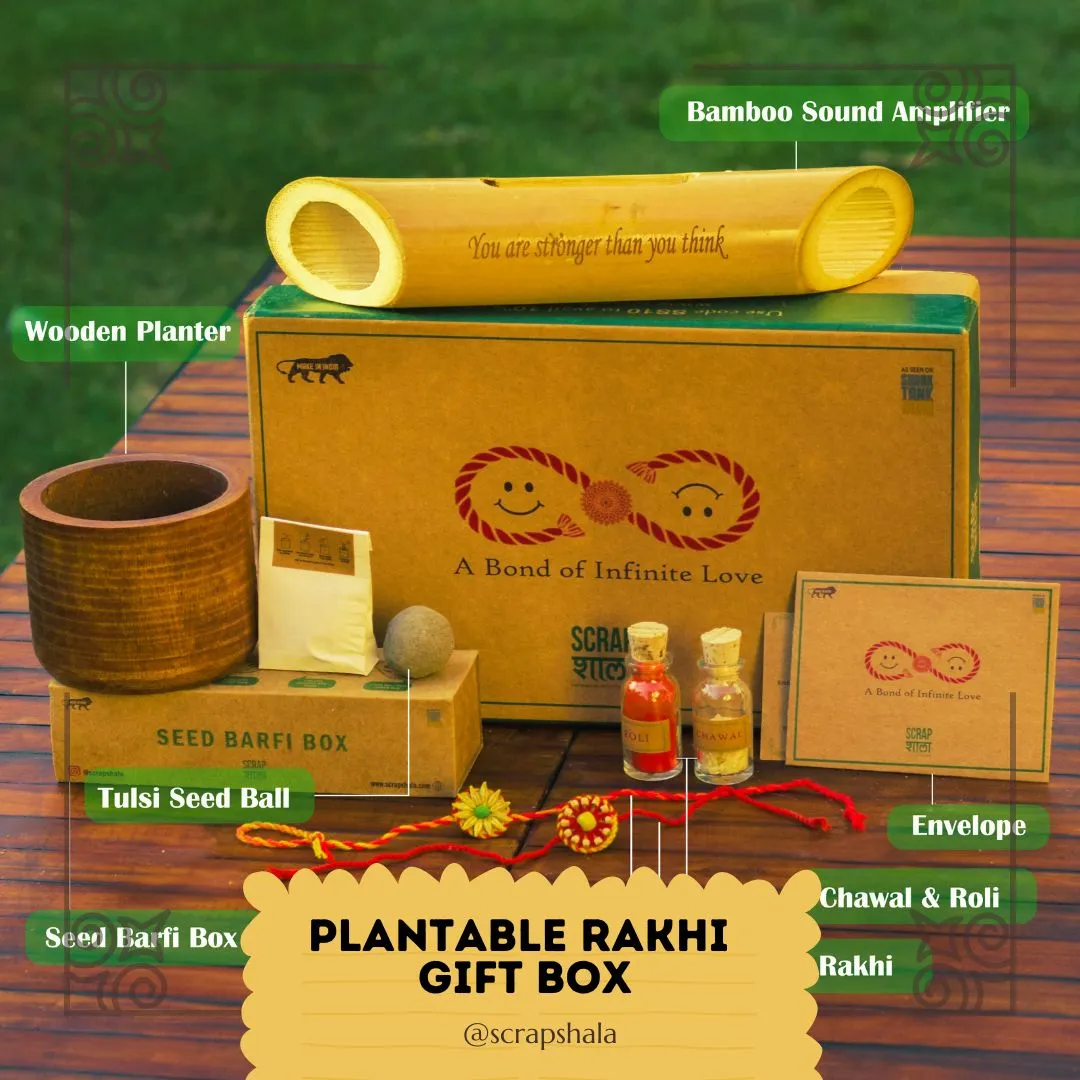 Plantable Seed Rakhi Gift Box | Pair of 2 Rakhi