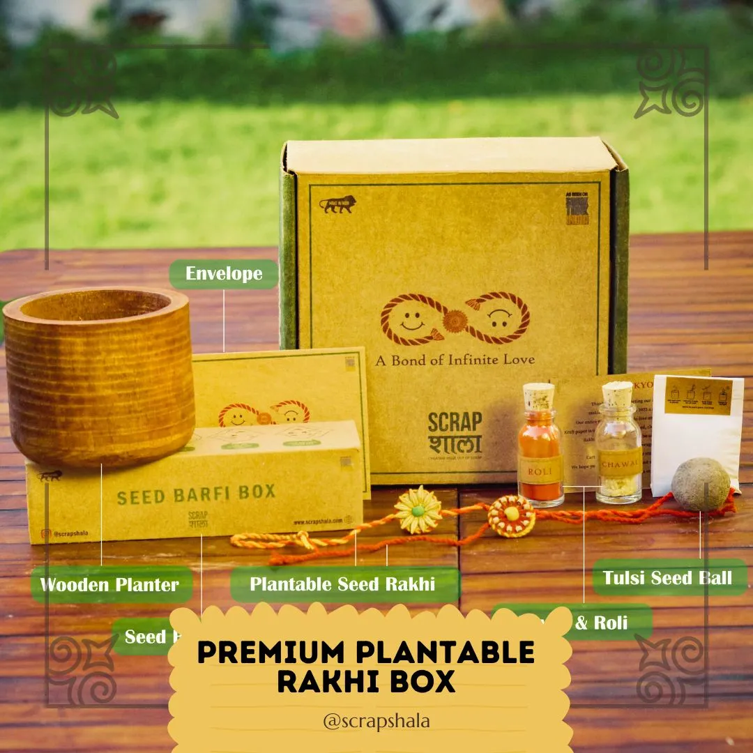 Plantable Seed Rakhi Premium Box | Pair of 2 Rakhi