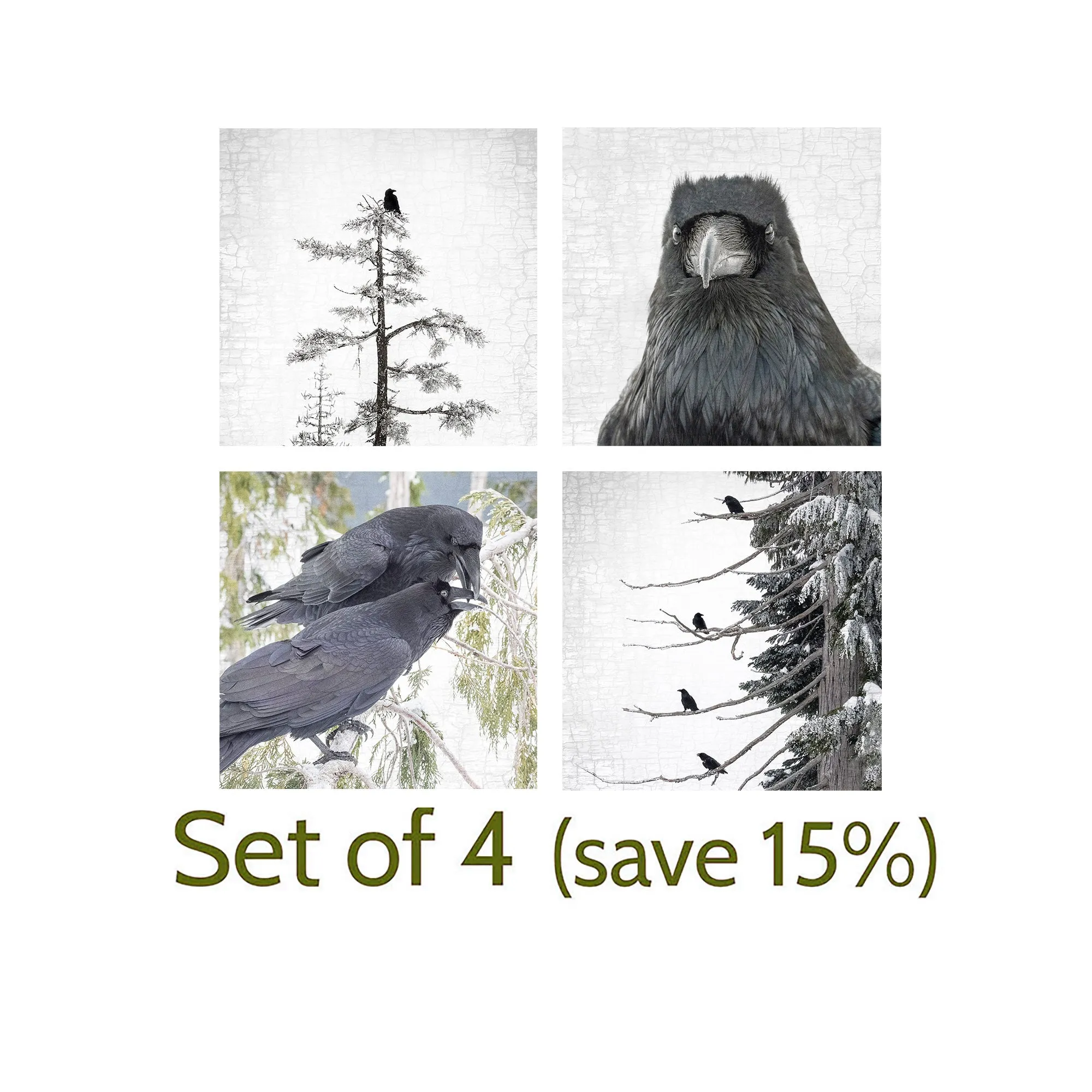 POPPY PREENS - Fine Art Print, Raven Portrait Series