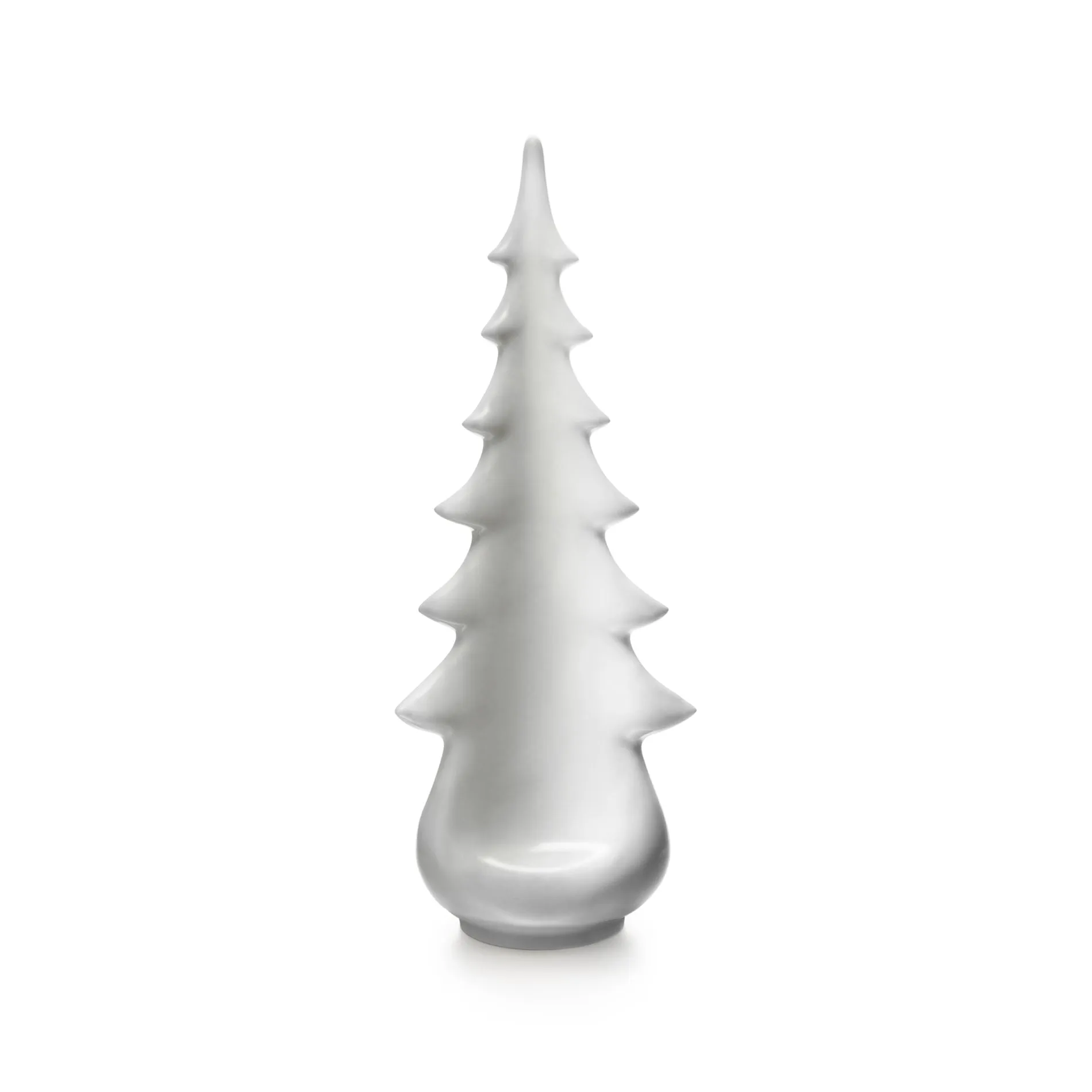 Pottery Evergreen Tree
