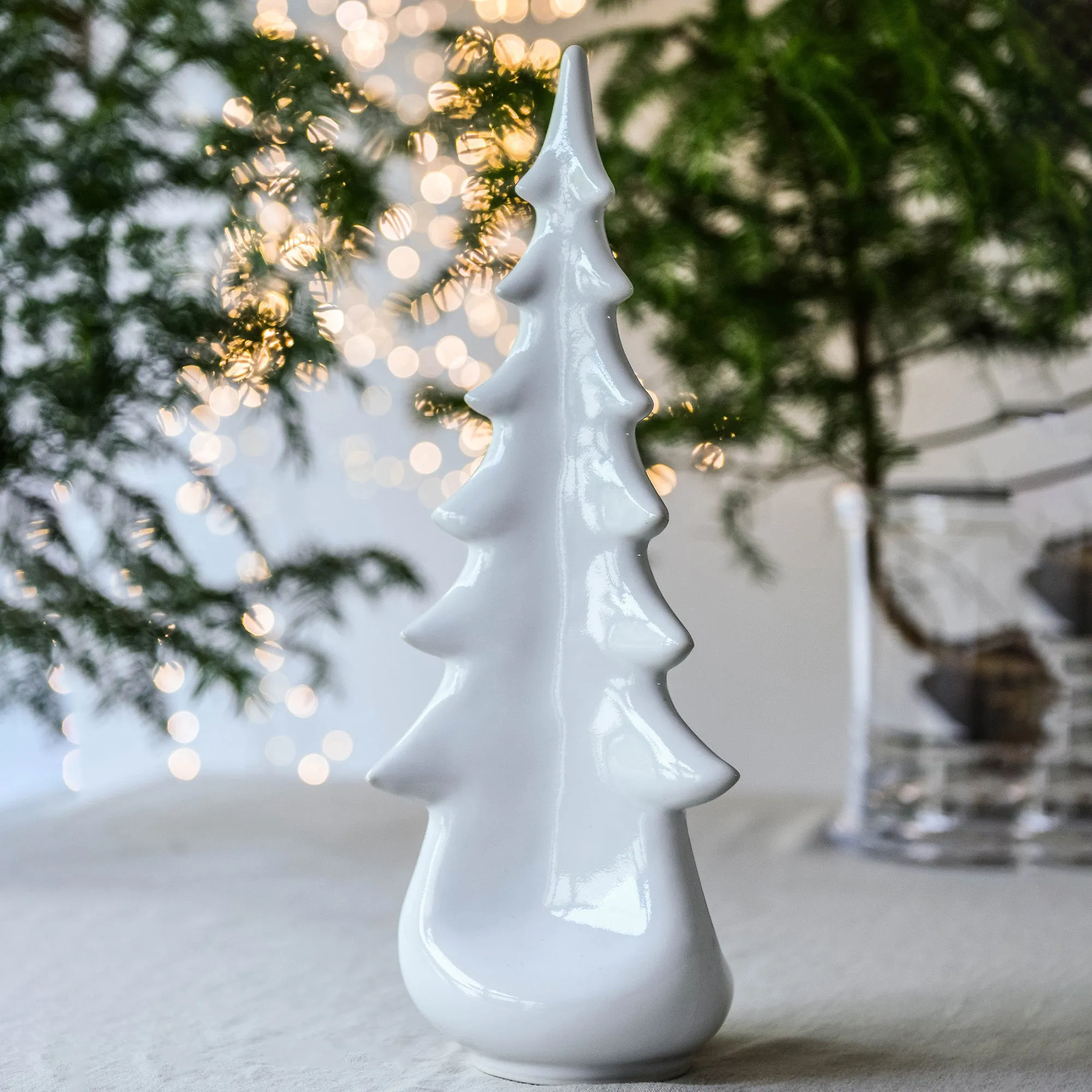 Pottery Evergreen Tree