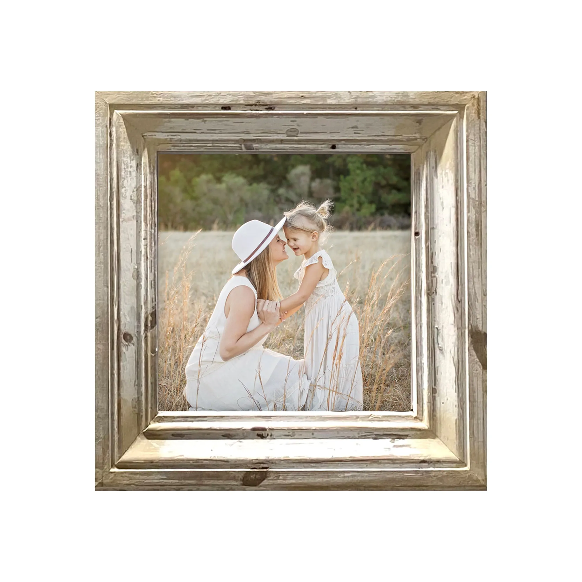 Reclaimed European Molding Picture Frames