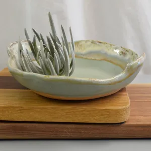 Souffle Dish Peaceful