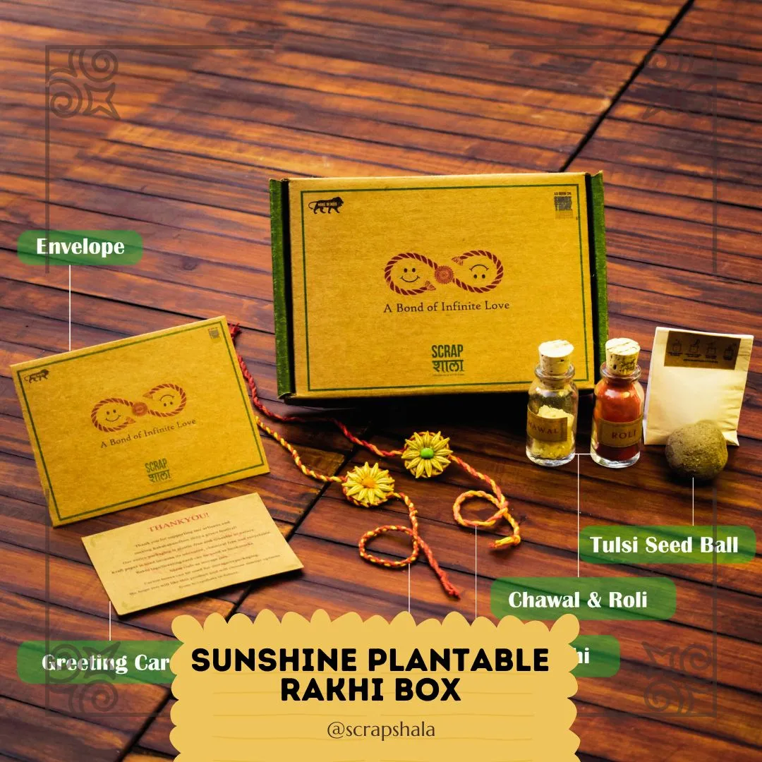 Sunshine Plantable Seed Rakhi Box | Pair of 2 Seed Rakhi