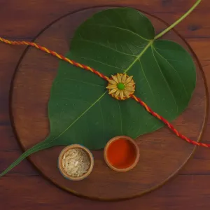Sunshine Plantable Seed Rakhi Box | Pair of 2 Seed Rakhi