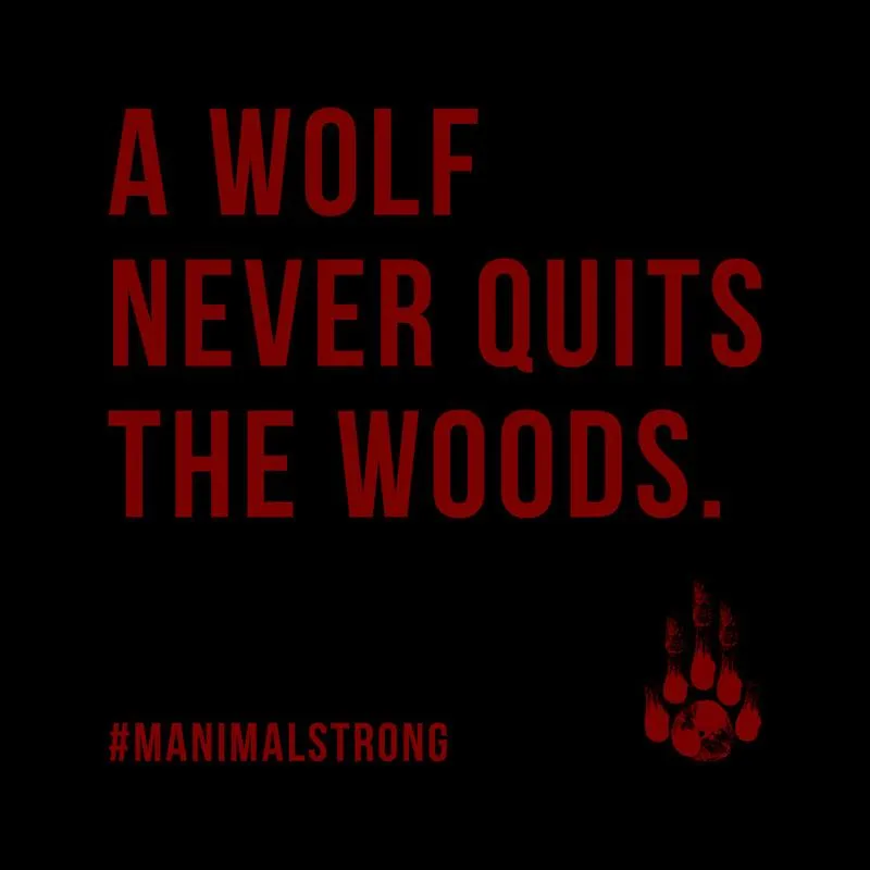 WOLF